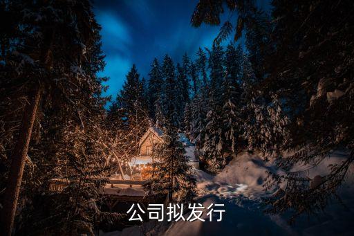 三通公司擬發行