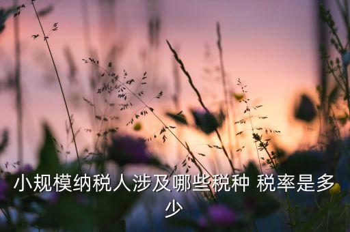 小規模納稅人涉及哪些稅種 稅率是多少