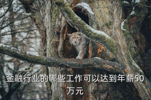 金融行業的哪些工作可以達到年薪50萬元