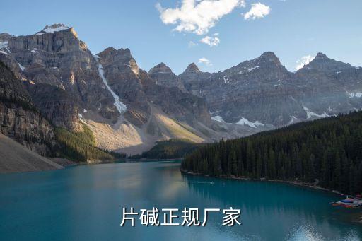 片堿正規廠家