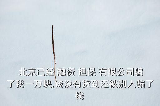 北京國華文創融資擔保有限公司