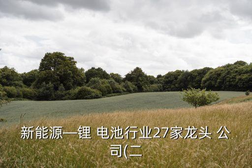 新能源—鋰 電池行業27家龍頭 公司(二