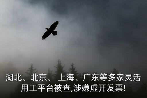 湖北、北京、 上海、廣東等多家靈活用工平臺被查,涉嫌虛開發(fā)票!