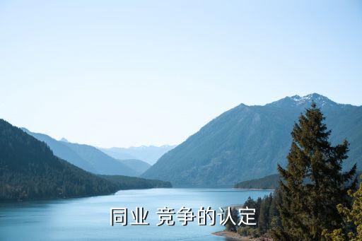  同業 競爭的認定
