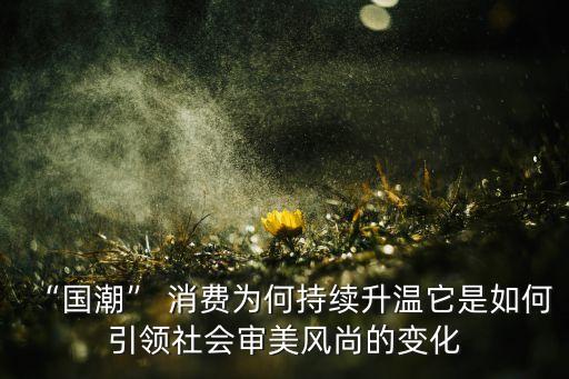 “國潮” 消費為何持續升溫它是如何引領社會審美風尚的變化