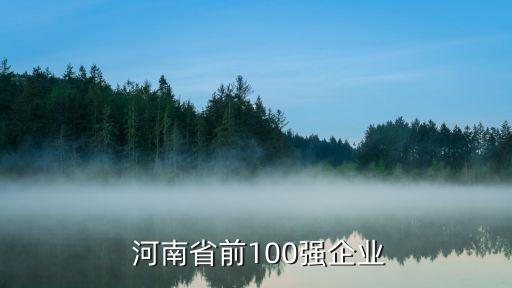  河南省前100強企業