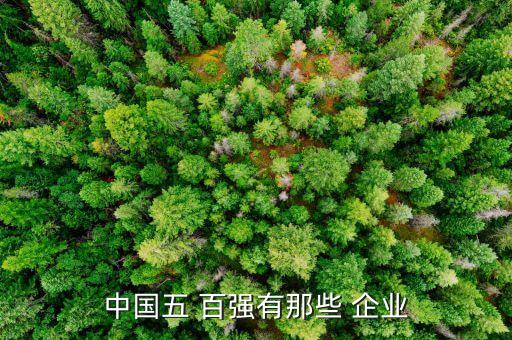 中國500百強企業,500百強企業福州有多少家