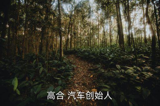 高合 汽車創始人