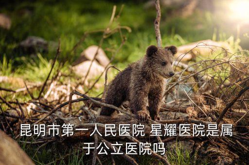  昆明市第一人民醫院 星耀醫院是屬于公立醫院嗎