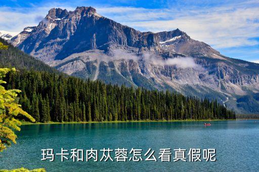 驪瑪產業集團,天瑪生態產業集團