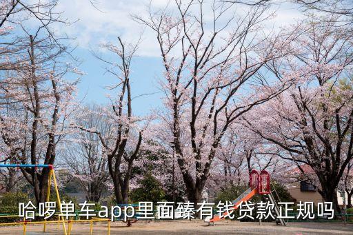 哈啰單車app里面臻有錢貸款正規嗎