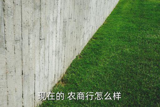 現在的 農商行怎么樣