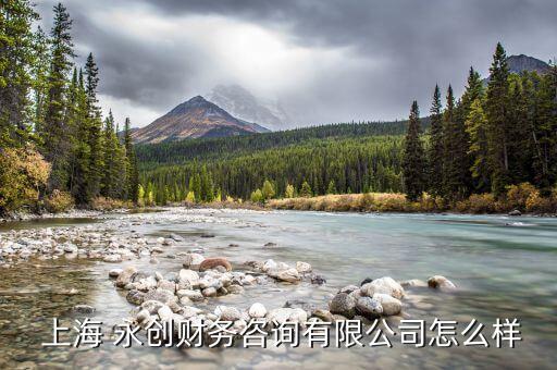  上海 永創財務咨詢有限公司怎么樣