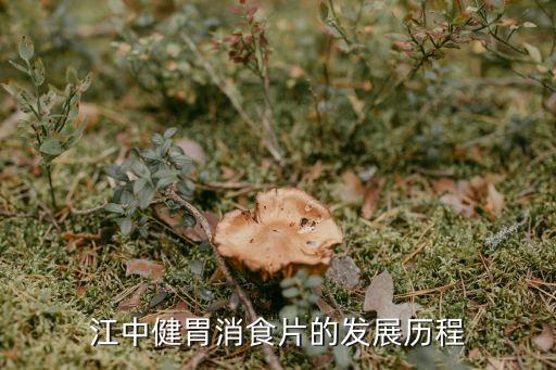 江中健胃消食片的發展歷程