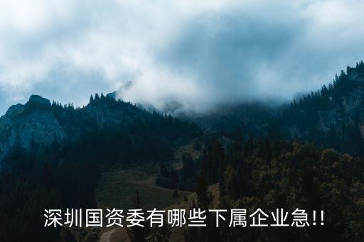  深圳國資委有哪些下屬企業急!!