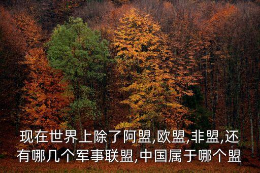 現在世界上除了阿盟,歐盟,非盟,還有哪幾個軍事聯盟,中國屬于哪個盟