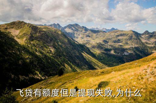  飛貸有額度但是提現失敗,為什么