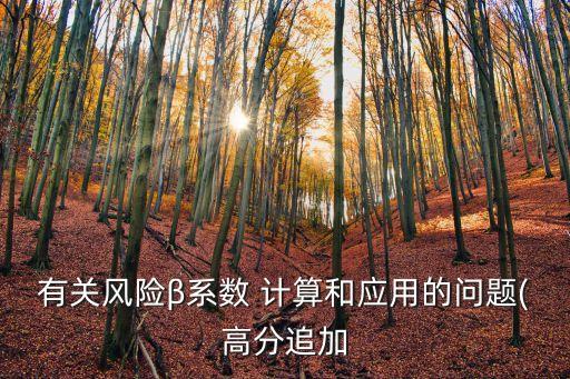有關風險β系數 計算和應用的問題(高分追加