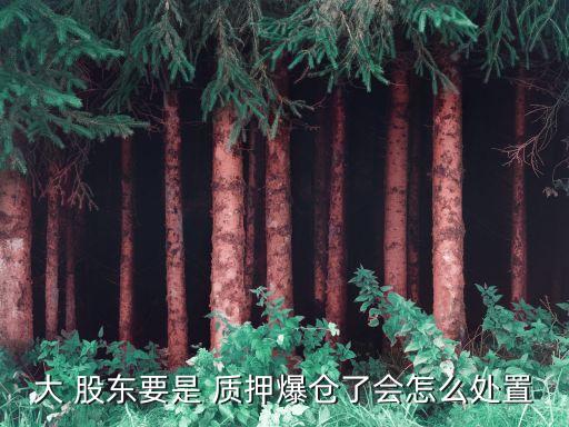 大股東質押股票還能重組嗎