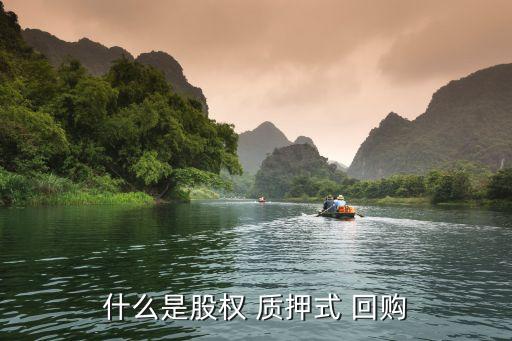 什么是股權 質押式 回購