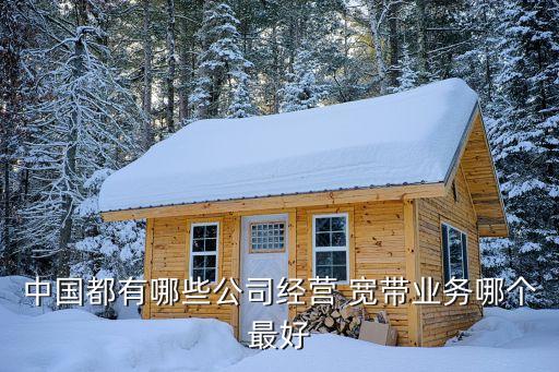 中國都有哪些公司經營 寬帶業務哪個最好