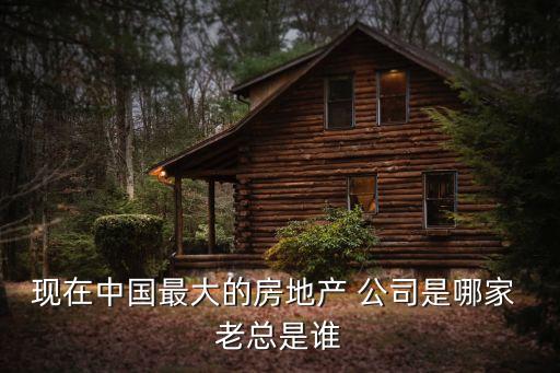 現在中國最大的房地產 公司是哪家 老總是誰