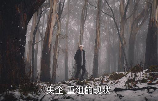 央企 重組的現狀