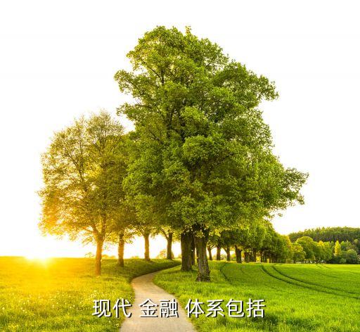 現代 金融 體系包括