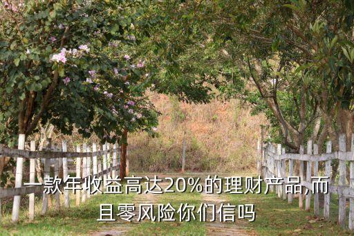 一款年收益高達20%的理財產品,而且零風險你們信嗎