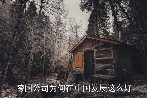 跨國公司為何在中國發展這么好