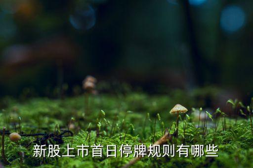 創業板股票停盤