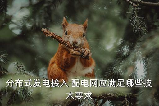 分布式發電接入 配電網應滿足哪些技術要求