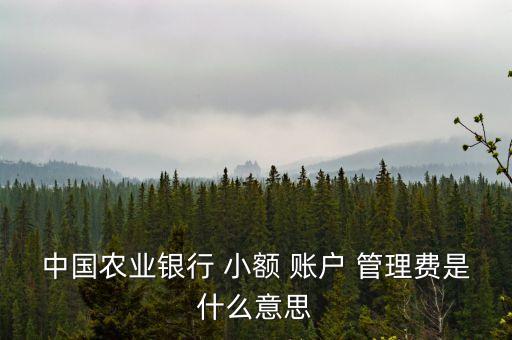 各銀行卡小額賬戶管理費,銀行卡小額賬戶管理費是否已經取消