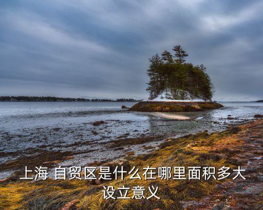 中國上海自貿區