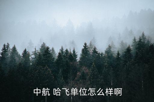 中航工業哈飛集團哪個車間工資好,中航哈飛工業集團有限責任公司