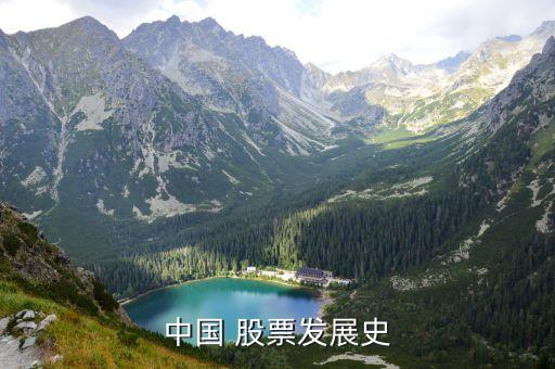 中國 股票發展史