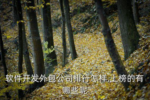 軟件開發外包公司排行怎樣,上榜的有哪些呢