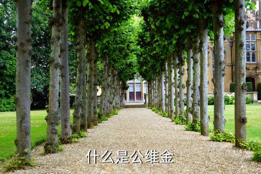 我國1998年發行的基金叫什么名字