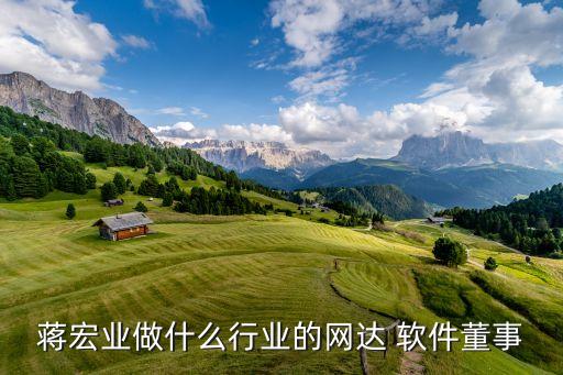 蔣宏業做什么行業的網達 軟件董事