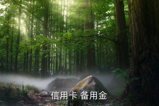 廣發銀行備用金額度怎么定