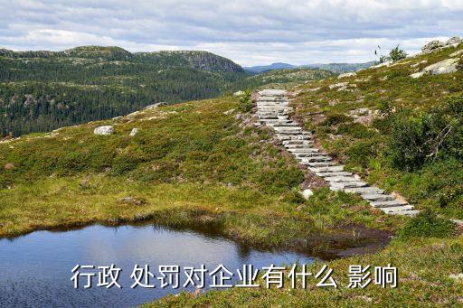  行政 處罰對企業有什么 影響