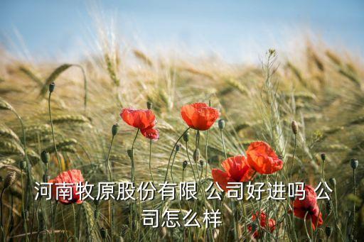  河南牧原股份有限 公司好進嗎 公司怎么樣