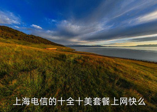  上海電信的十全十美套餐上網快么
