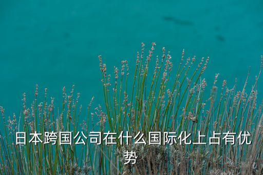  日本跨國公司在什么國際化上占有優勢