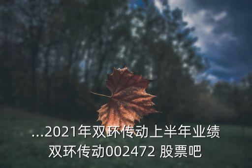 ...2021年雙環傳動上半年業績雙環傳動002472 股票吧