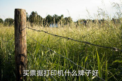 買票據打印機什么牌子好
