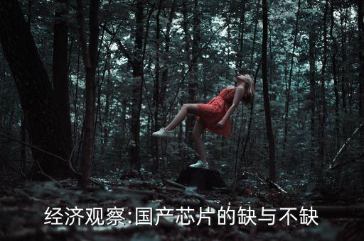 產能過剩盲目投資
