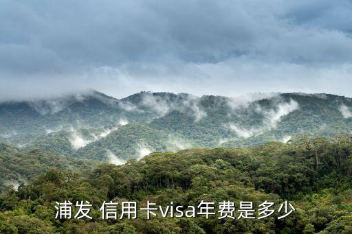 浦發銀行信用卡費用