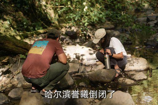 哈爾濱蒲公英藥業有限公司電話,安國市蒲公英藥業有限公司產品