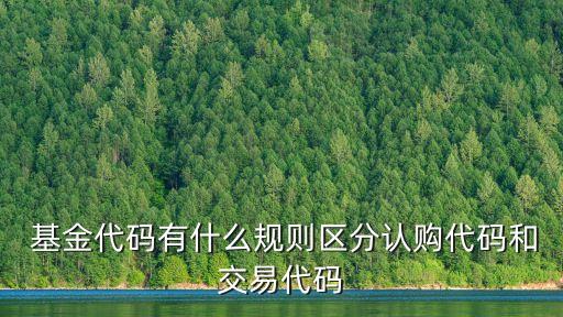  基金代碼有什么規則區分認購代碼和交易代碼